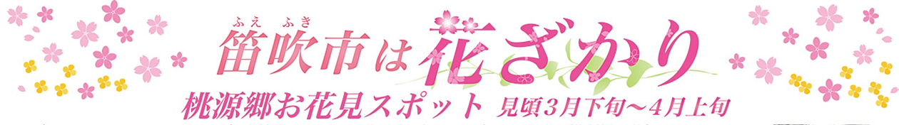 2025年笛吹市桃源郷春まつり～笛吹市は花ざかり～